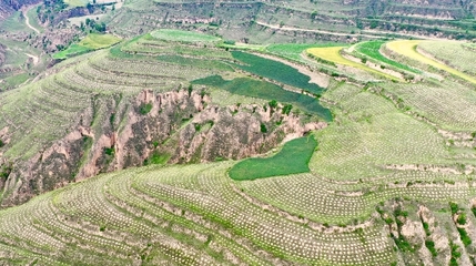 慶城縣林草局榮獲“全國綠化模范單位”榮譽(yù)稱號