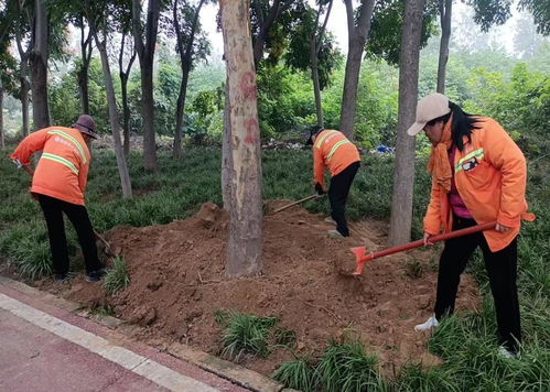 秋季移植添新綠，精細(xì)養(yǎng)護(hù)煥新顏 樹木種植指南